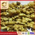 Factory Price Air Dried Ginger Fresh Ginger